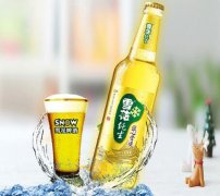 什么是雪花純生啤酒？