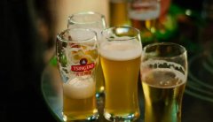 青島青邑啤酒500毫升罐裝多少錢(青島青邑啤酒320ml價格)
