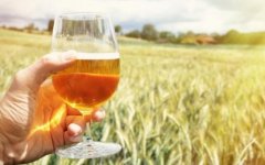 精釀啤酒的標準（精釀啤酒的入門順序？）